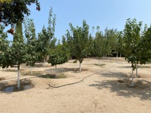 Satılır Torpaq, Xəzər.r, Şüvəlan, Koroğlu.m-2