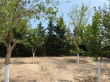 Satılır Torpaq, Xəzər.r, Şüvəlan, Koroğlu.m-4