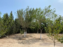 Satılır Torpaq, Xəzər.r, Şüvəlan, Koroğlu.m-10