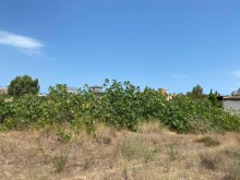 Satılır Torpaq, Xəzər.r, Mərdəkan, Koroğlu.m-6