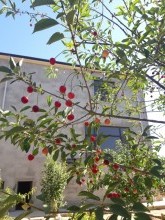 Satılır Həyət evi, Abşeron.r, Novxanı-2