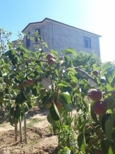 Satılır Həyət evi, Abşeron.r, Novxanı-5