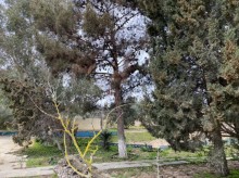Satılır Torpaq, Xəzər.r, Şüvəlan, Koroğlu.m-4