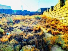 Satılır Torpaq, Səbail.r, Badamdar-2