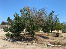 Satılır Torpaq, Xəzər.r, Mərdəkan, Koroğlu.m-6