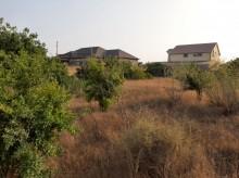 Satılır Torpaq, Sabunçu.r, Albalı-4
