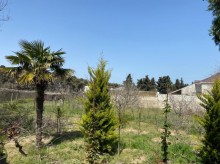 Satılır Torpaq, Xəzər.r, Mərdəkan, Koroğlu.m-9