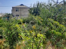 Satılır Torpaq, Suraxanı.r, Bülbülə, Koroğlu.m-6