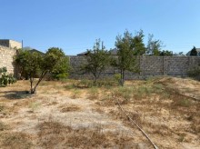 Satılır Torpaq, Xəzər.r, Mərdəkan, Koroğlu.m-8