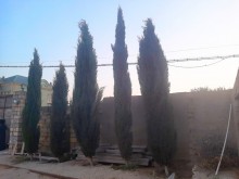 Satılır Həyət evi, Xəzər.r, Binə-4