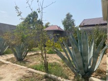 Satılır Torpaq, Xəzər.r, Mərdəkan, Koroğlu.m-2