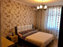 Kirayə (Aylıq) Yeni Tikili, Nəsimi.r, 28 May.m-4