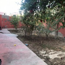saganda satilan ev elanlari, -3