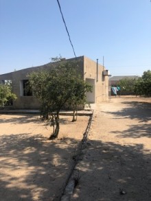 Satılır Torpaq, Xəzər.r, Qala, Koroğlu.m-10