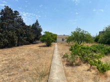 Satılır Torpaq, Xəzər.r, Mərdəkan, Koroğlu.m-3