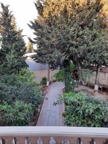 bineqedi  evlerin satisi, -2