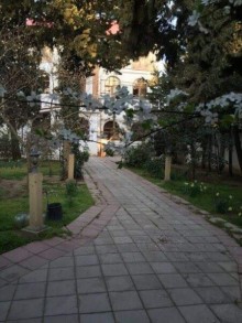 bineqedi  evlerin satisi, -4
