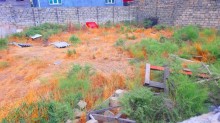 Satılır Torpaq, Səbail.r, Badamdar-3
