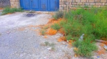 Satılır Torpaq, Səbail.r, Badamdar-4