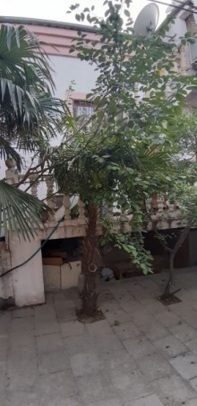 qaracuxur bag evi almaq, -13