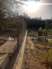 Satılır Həyət evi, Xəzər.r, Türkan, Koroğlu.m-4