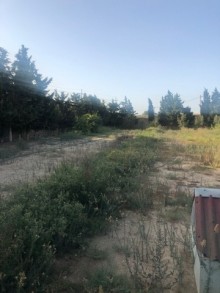 Satılır Həyət evi, Xəzər.r, Türkan, Koroğlu.m-14
