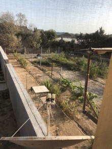 Satılır Həyət evi, Xəzər.r, Türkan, Koroğlu.m-20