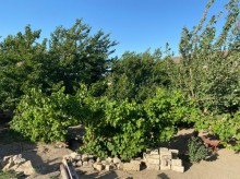 Satılır Torpaq, Xəzər.r, Şüvəlan, Koroğlu.m-3