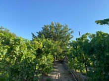Satılır Torpaq, Xəzər.r, Şüvəlan, Koroğlu.m-5
