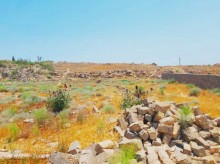 Satılır Torpaq, Səbail.r, Şıxov-7