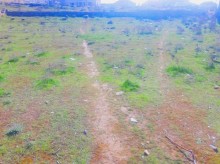 Satılır Torpaq, Səbail.r, Badamdar-3
