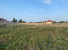 Satılır Torpaq, Xəzər.r, Mərdəkan, Koroğlu.m-4