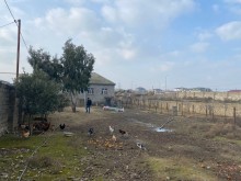 Satılır Torpaq, Xəzər.r, Mərdəkan, Koroğlu.m-2