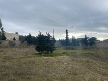 merdekan baglarinda torpaq satilir, -6