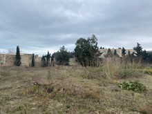 merdekan baglarinda torpaq satilir, -8