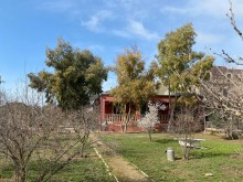 mərdəkan bağları torpaq satılır, -2