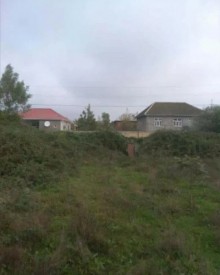 Satılır Torpaq, Lənkəran.ş-13