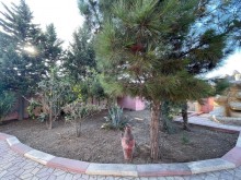 Fatmai bağlarında Dəniz marketdən çimərlik istiqamətində yol yaxin bag evi satilir, -8