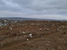 Satılır Torpaq, Abşeron.r, Qobu, 20 Yanvar.m-5