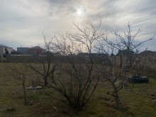 Satılır Torpaq, Xəzər.r, Mərdəkan, Koroğlu.m-9