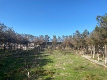 Satılır Torpaq, Xəzər.r, Şüvəlan, Koroğlu.m-4