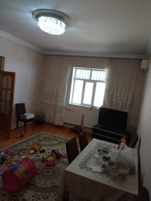 Bineqedide qai yolunda ev, -12