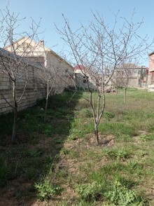Mehdiabad qəsəbəsində digaha gedən yolda Torpaq, -1