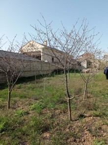 Mehdiabad qəsəbəsində digaha gedən yolda Torpaq, -7
