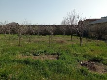 Mehdiabad qəsəbəsində digaha gedən yolda Torpaq, -10
