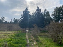 Satılır Torpaq, Xəzər.r, Mərdəkan, Koroğlu.m-2