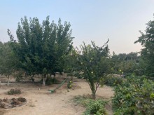 Satılır Torpaq, Xəzər.r, Mərdəkan, Koroğlu.m-8