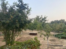Satılır Torpaq, Xəzər.r, Mərdəkan, Koroğlu.m-10