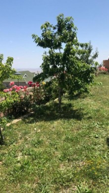Satılır Həyət evi, Şamaxı.ş-7