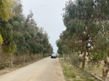 Satılır Torpaq, Xəzər.r, Şüvəlan, Koroğlu.m-10